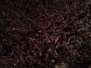 Yes, I said sparkle black rug!