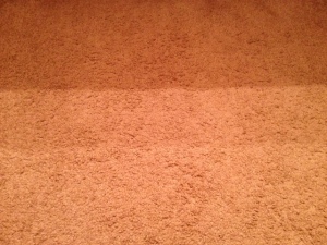 Little. Clear. Carpet